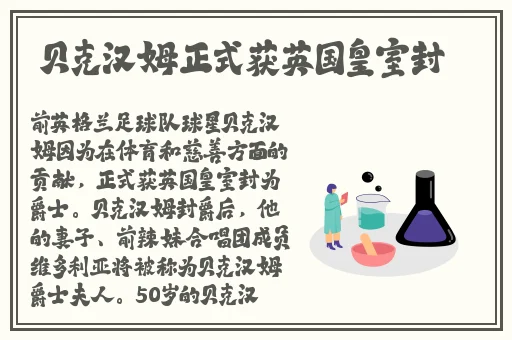 4japp下载